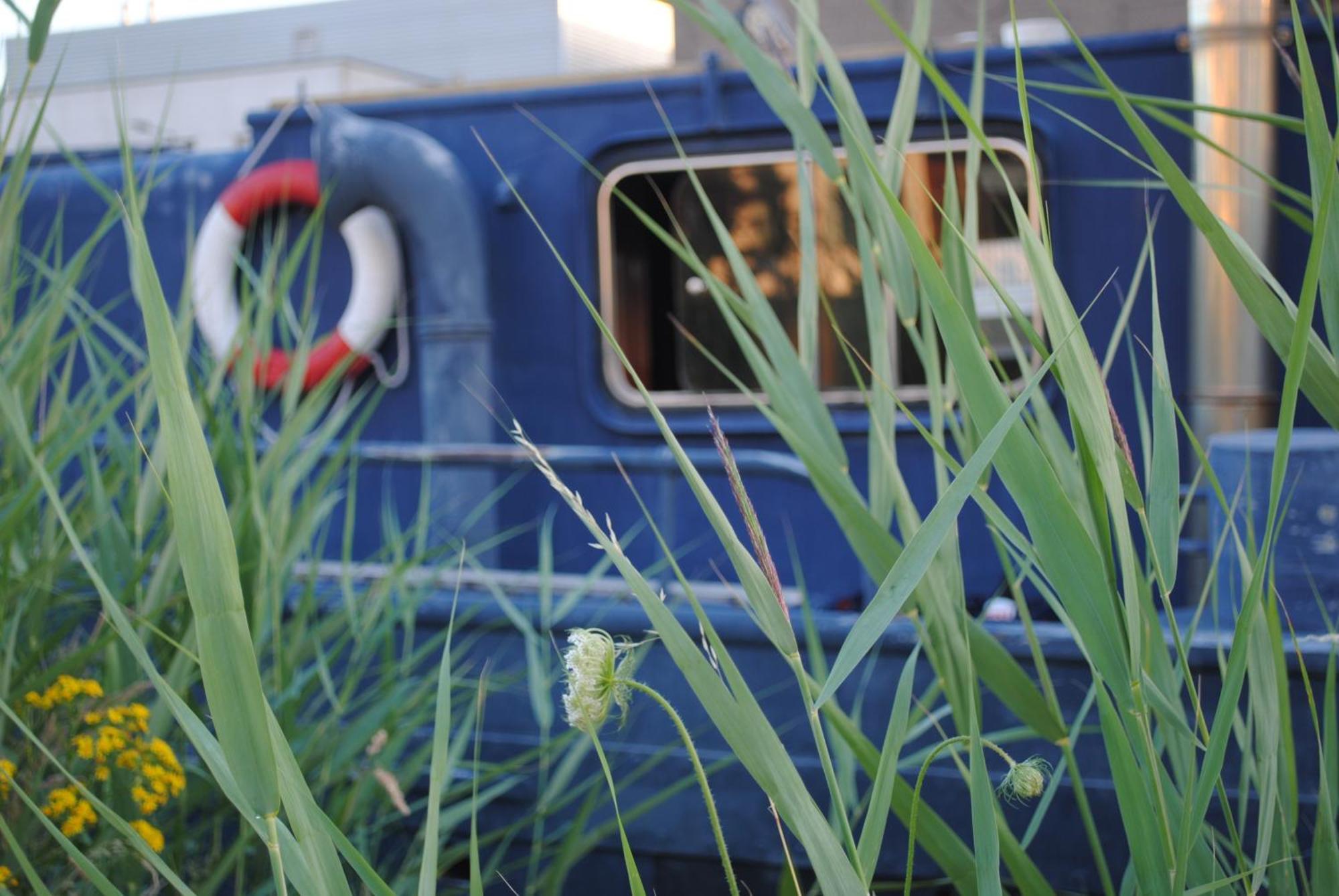 Hotel Boat & Breakfast Bellevue Gante Exterior foto